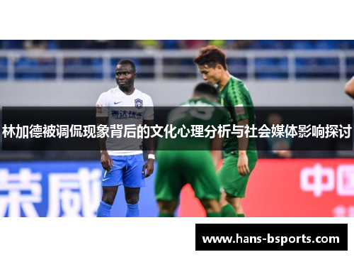 林加德被调侃现象背后的文化心理分析与社会媒体影响探讨 林加德被调侃现象背后的文化心理分析与社会媒体影响探讨