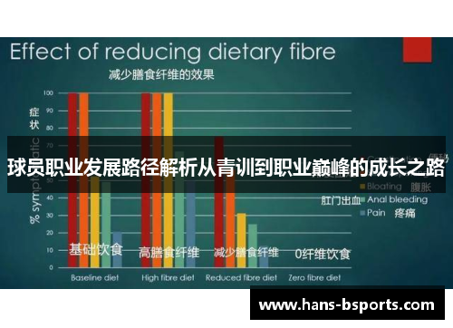 球员职业发展路径解析从青训到职业巅峰的成长之路