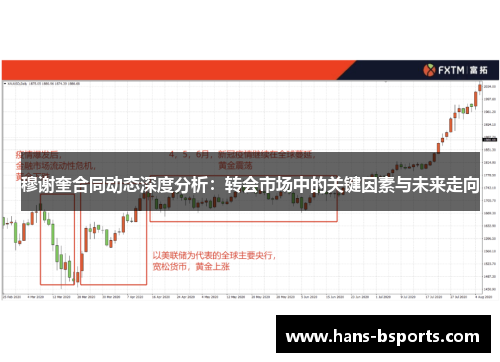 穆谢奎合同动态深度分析：转会市场中的关键因素与未来走向